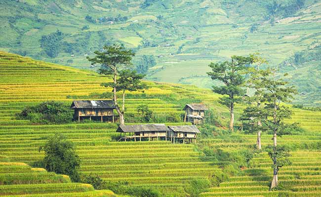 How To Lease Land In Thailand A Foreigner s Guide To The Law